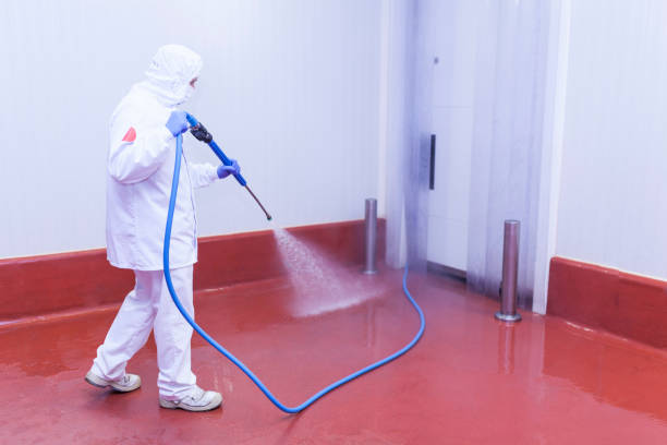 Best Playground Equipment Cleaning  in Prosper, TX
